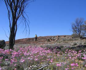 Talgomine Reserve - Taree Accommodation 0
