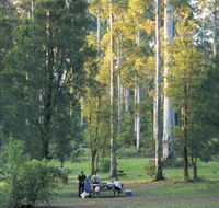Big Brook Arboretum - Taree Accommodation