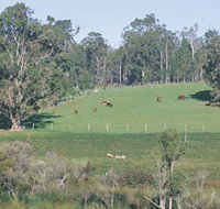 Scenic Drives - Bunbury Collie Donnybrook - Taree Accommodation