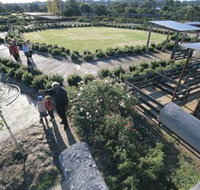 Kojonup Rose Maze - Taree Accommodation