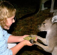 Discovery Bay's Walk on the Wild Side - Taree Accommodation