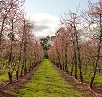 Raeburn Orchards - Taree Accommodation