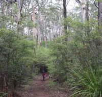 Margaret River Rails Trail