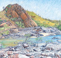 Red Dirt Arts - Taree Accommodation