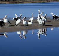 Peel Region Canoe Trails - Taree Accommodation