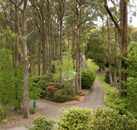 Mount Lofty Botanic Garden - Taree Accommodation