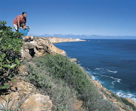 Dampier Salt Mines - Taree Accommodation 0