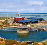 Ocean Park Aquarium - Taree Accommodation