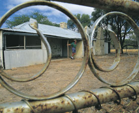 Youndegin - Taree Accommodation 0