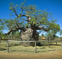 Pigeon Heritage Trail - Taree Accommodation