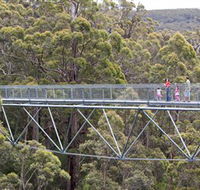 Walpole Wilderness Discovery Centre - Taree Accommodation