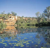 Manning Gorge - Taree Accommodation