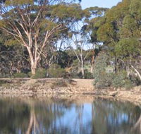 Merredin Railway Dam - Taree Accommodation
