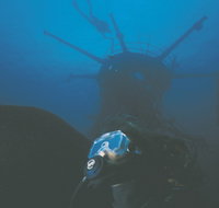 Swan Dive Wreck - Taree Accommodation