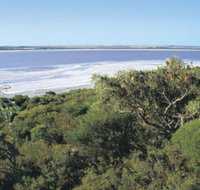 Pink Lake - Taree Accommodation