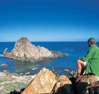 Sugarloaf Rock - Taree Accommodation