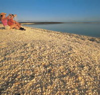 Shell Beach - Taree Accommodation