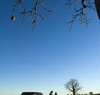 Joonjoo Botanical Trail - Taree Accommodation