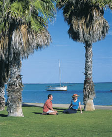 Town Bluff - Taree Accommodation 0