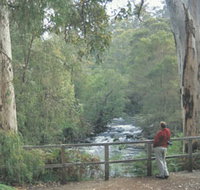Cascades - Taree Accommodation