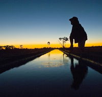 Myalls Bore - Taree Accommodation