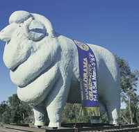 Giant Ram Tourist Park - Taree Accommodation