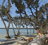 Stokes National Park - Taree Accommodation