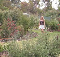 The Mythic Mazes - Taree Accommodation