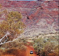 Mount Nameless - Taree Accommodation