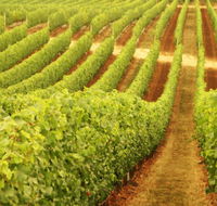 Xanadu Wines - Taree Accommodation