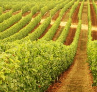 Happs Wines - Taree Accommodation