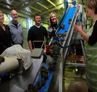 Eyre Peninsula's Seafood Trail