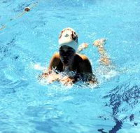 Mount Gambier Aquatic Centre - Taree Accommodation