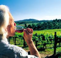 Ashton Hills Vineyard - Taree Accommodation