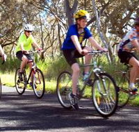Penola Cycling Trails - Taree Accommodation
