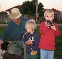 Orrie Cowie Merino and Poll Merino Stud - Taree Accommodation