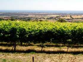  Taree Accommodation