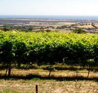 Braydun Hill Vineyard - Taree Accommodation