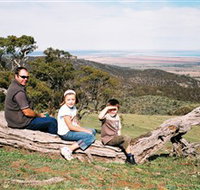 Bridle Track - Taree Accommodation