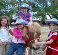 Amberainbow Pony Rides - Taree Accommodation