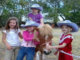 Amberainbow Pony Rides - Taree Accommodation 0