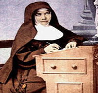 Mary MacKillop Penola Centre - Taree Accommodation