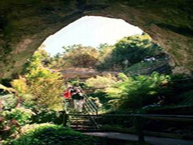 Engelbrecht Cave - Taree Accommodation 0