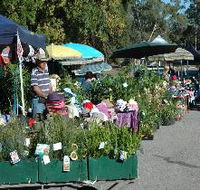 Meadows Monthly Market