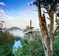 Tahune Adventures Tasmania - Taree Accommodation