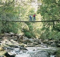 Arve Forest Drive - Taree Accommodation