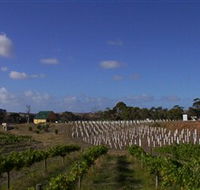 Deep Creek Wines and Alpacas