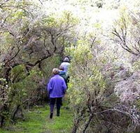 Jack And Hilda McArthur Walk - Taree Accommodation