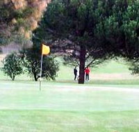 Meningie Lake Albert Golf Club - Taree Accommodation