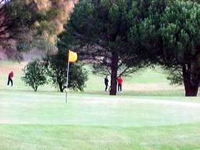 Meningie Lake Albert Golf Club - Taree Accommodation 0